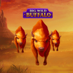 Big Wild Buffalo Logo